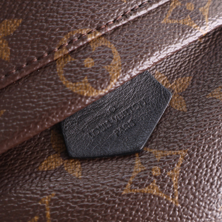 Louis Vuitton Monogram Mini Palm Springs
