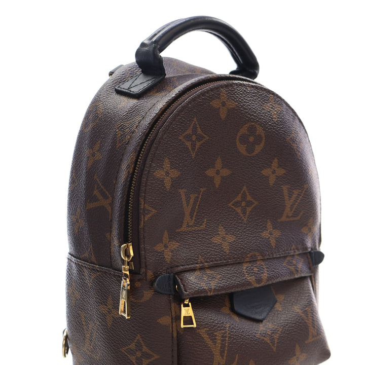Louis Vuitton Monogram Mini Palm Springs