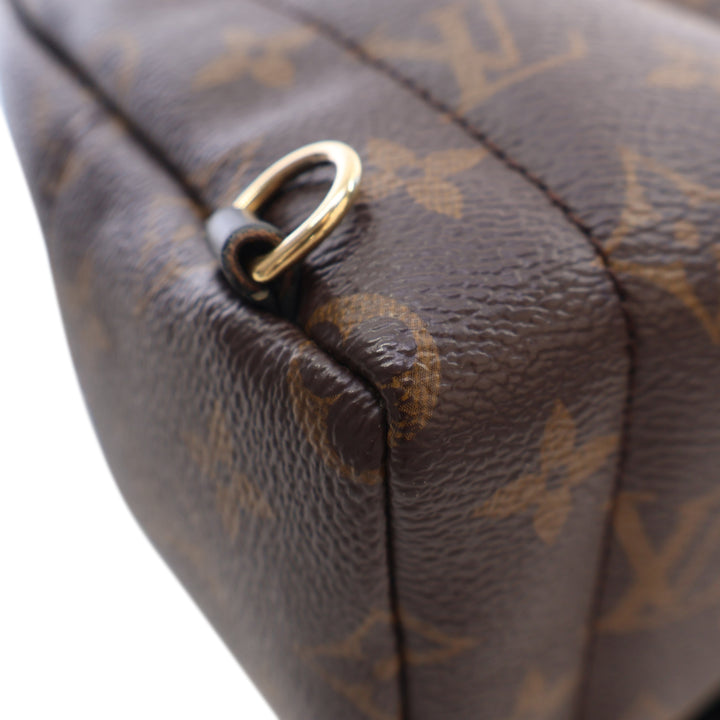 Louis Vuitton Monogram Mini Palm Springs