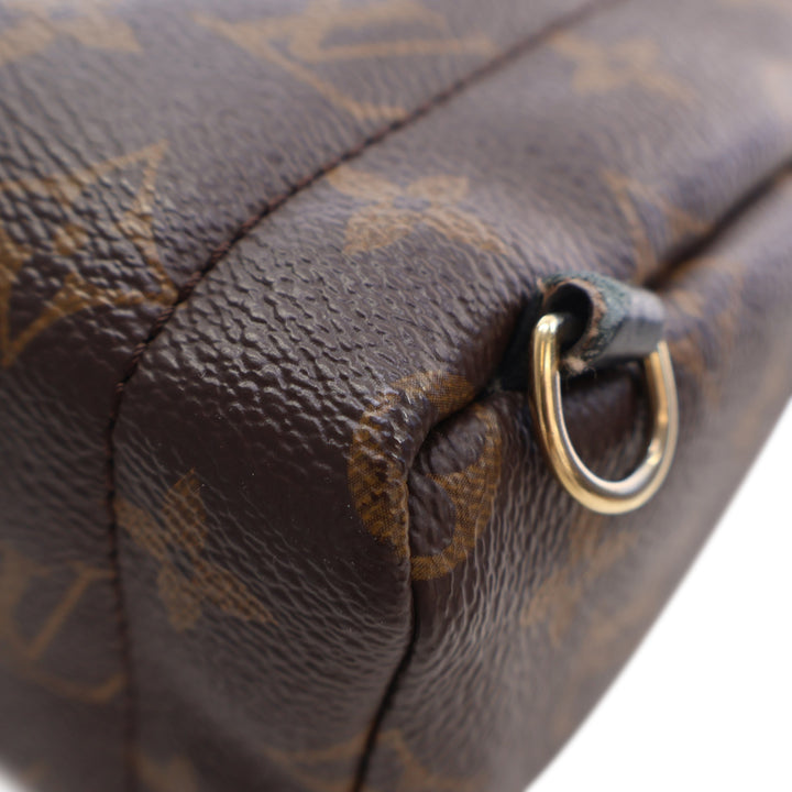 Louis Vuitton Monogram Mini Palm Springs