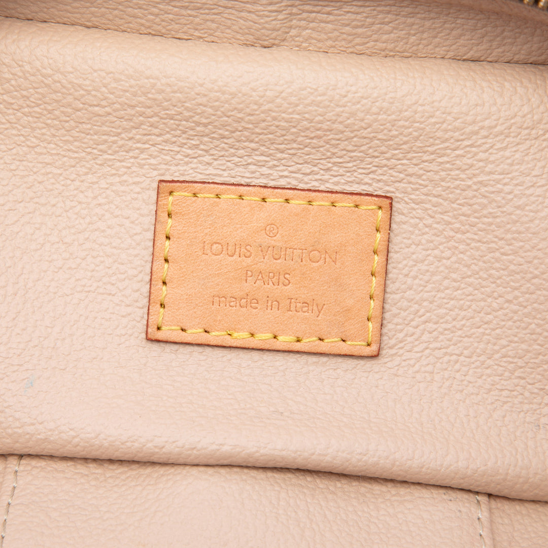 Nice Vanity Nano Monogram Marron