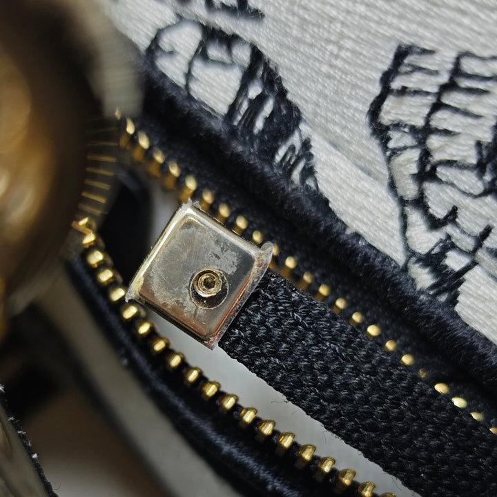 Dior Mini brodé Toile Plan de Paris Lady D Lite