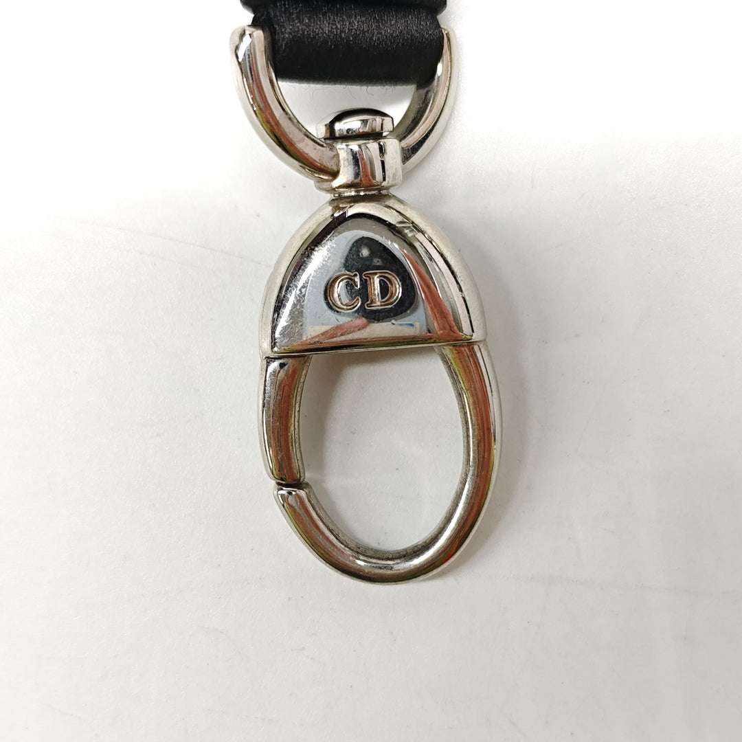 Dior Satin Sac Strap