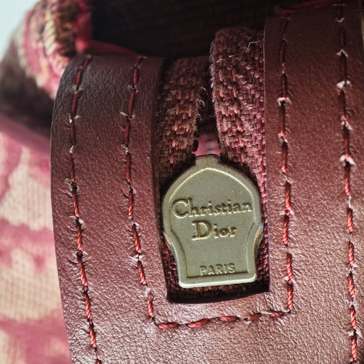 Dior Diorissimo Trotter Toile Sac porté croisé
