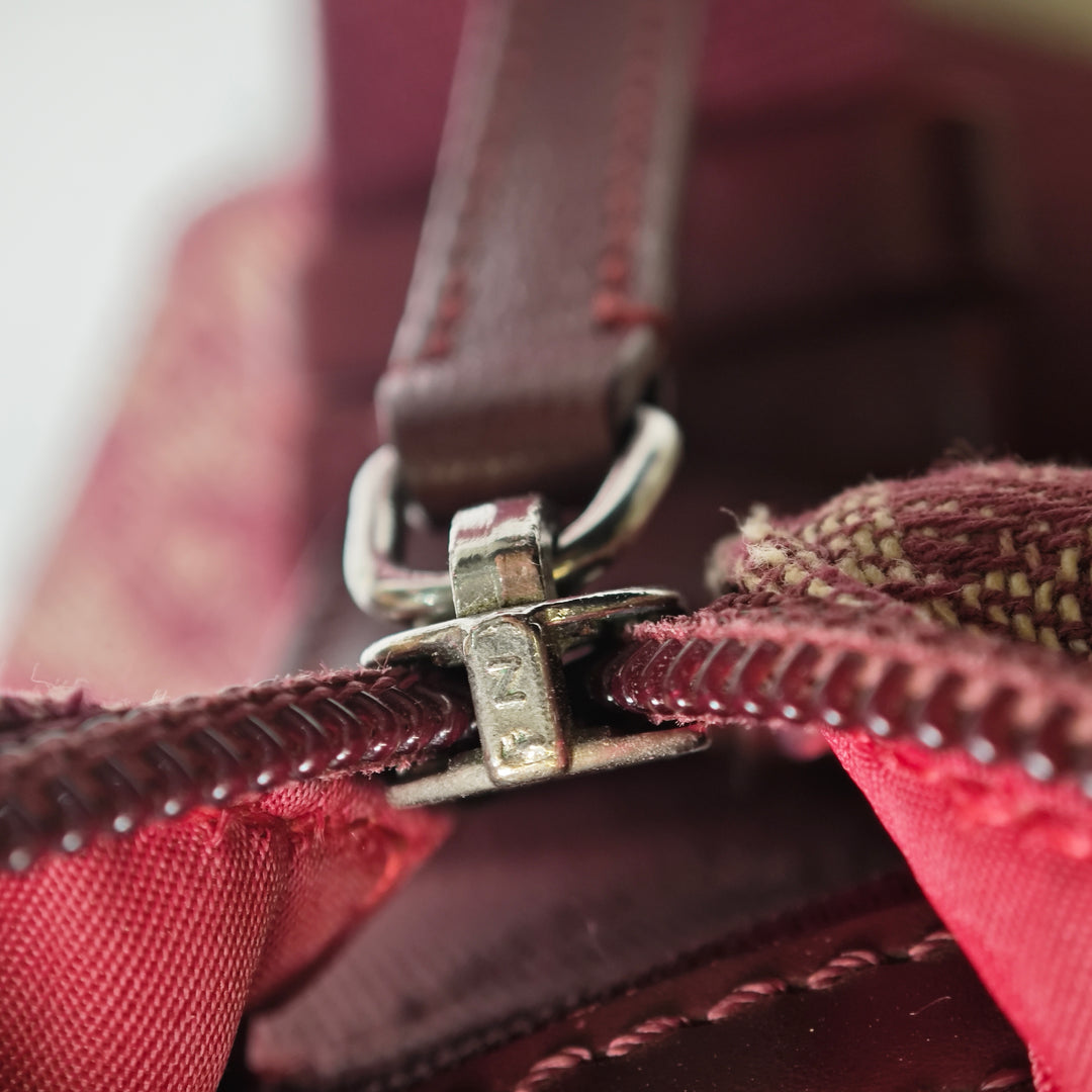 Dior Diorissimo Trotter Toile Sac porté croisé