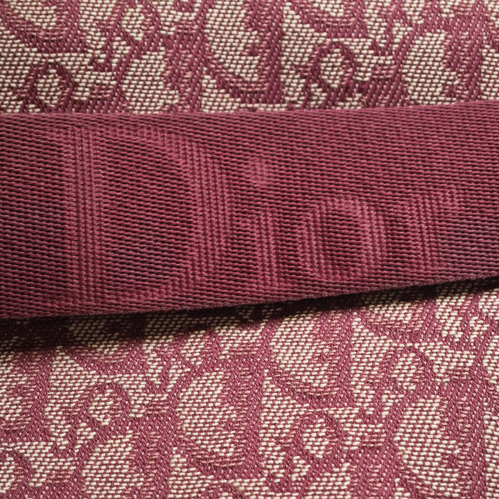 Dior Diorissimo Trotter Toile Sac porté croisé