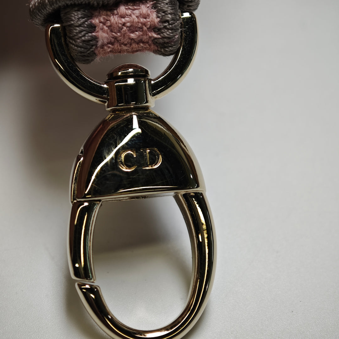 Dior Mini brodé Toile Toile De Jouy Lady D Lite