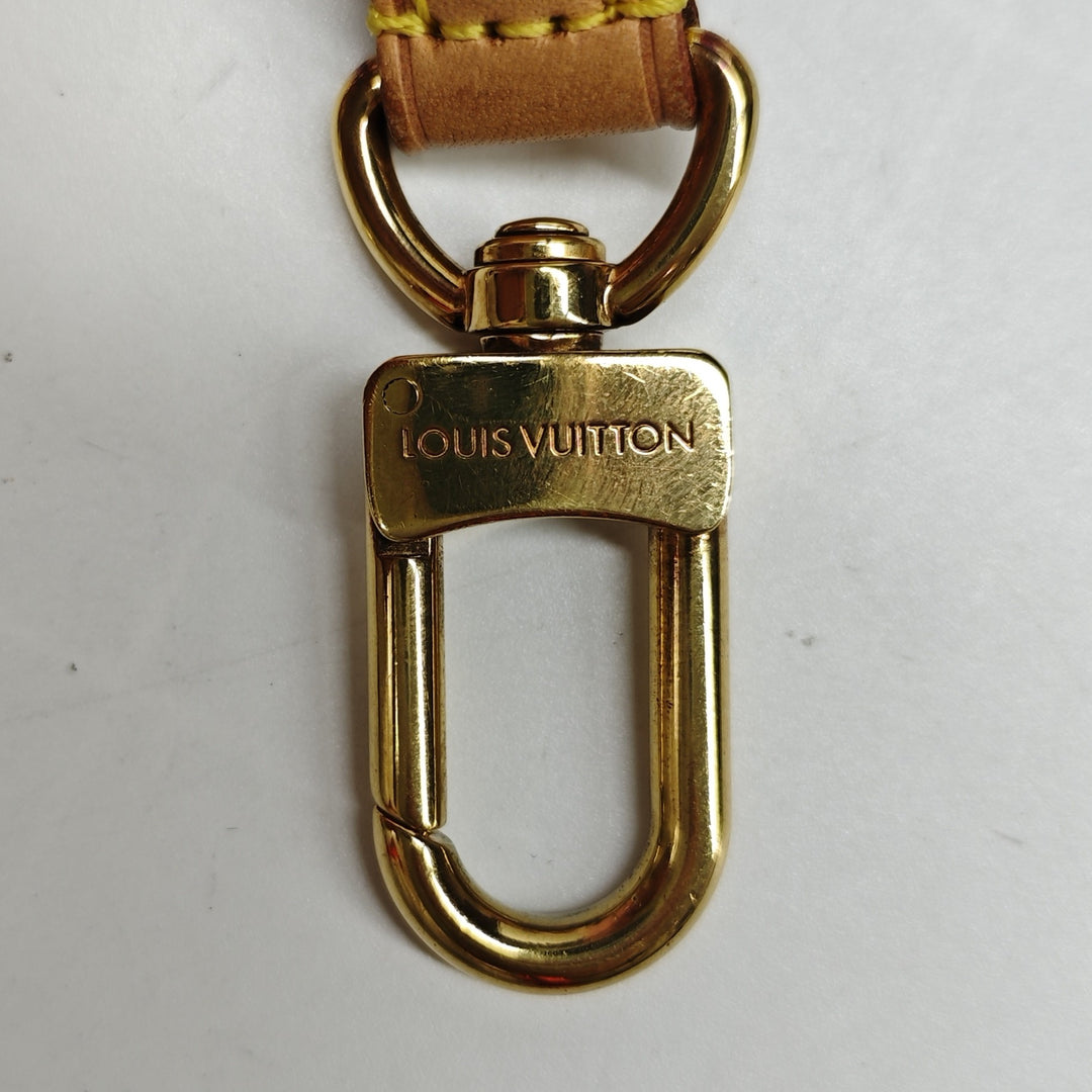 Louis Vuitton Monogram Multi Pochette Accessoires