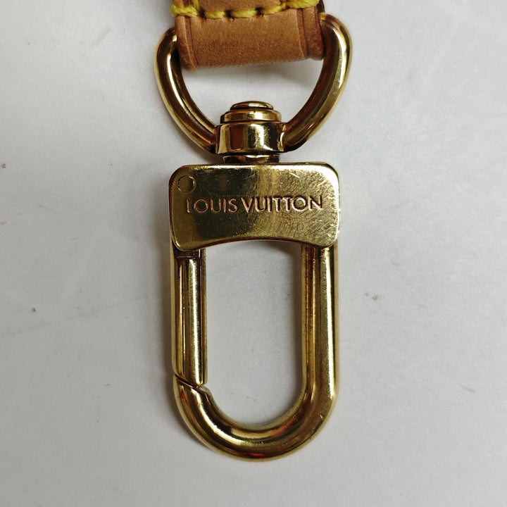 Louis Vuitton Monogram Multi Pochette Accessoires