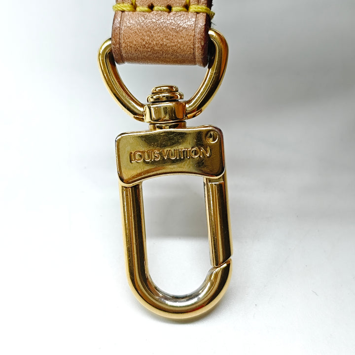Louis Vuitton Monogram Multi Pochette Accessoires