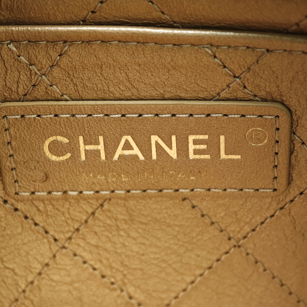 Chanel Cuir d’agneau Lucky Charms à rabat Sac porté croisé