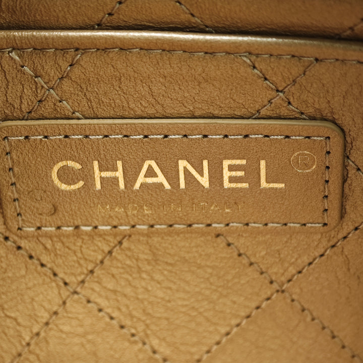Chanel Cuir d’agneau Lucky Charms à rabat Sac porté croisé