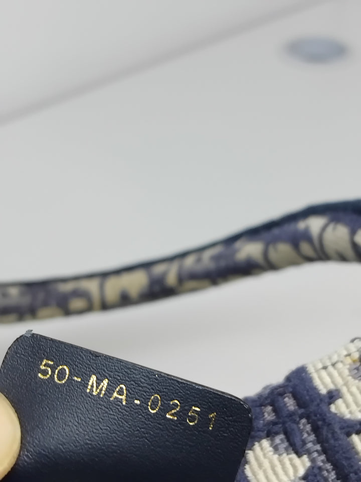 Dior Medium Oblique brodé Toile Book Cabas