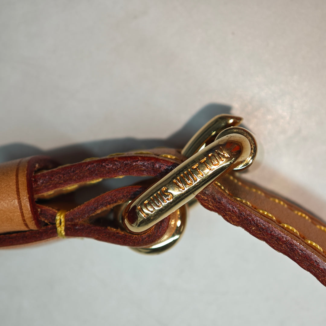 Louis Vuitton Monogram Vernis Bellflower GM