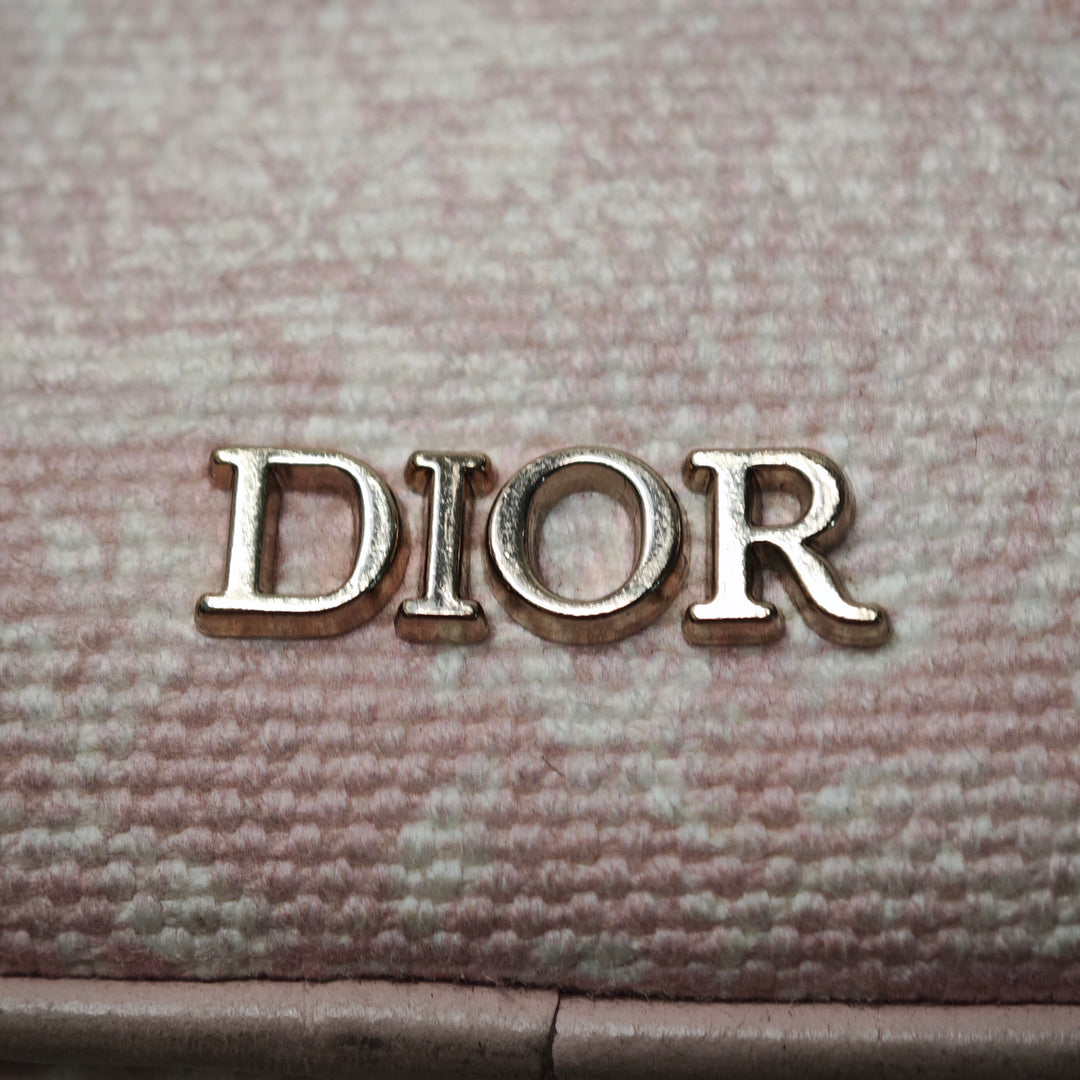 Dior brodé Toile Toile de Jouy Sac porté croisé