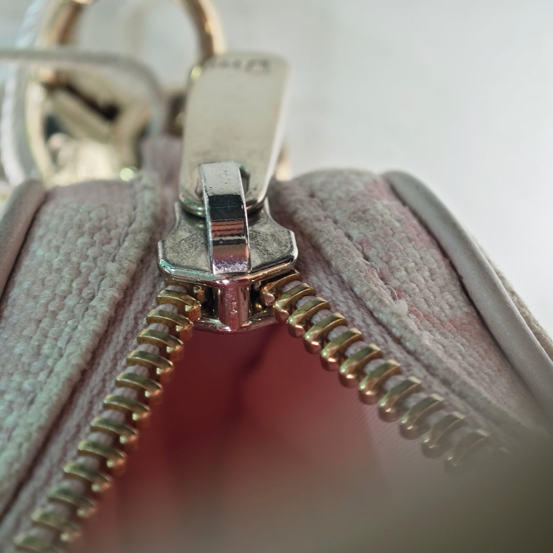 Dior brodé Toile Toile de Jouy Sac porté croisé