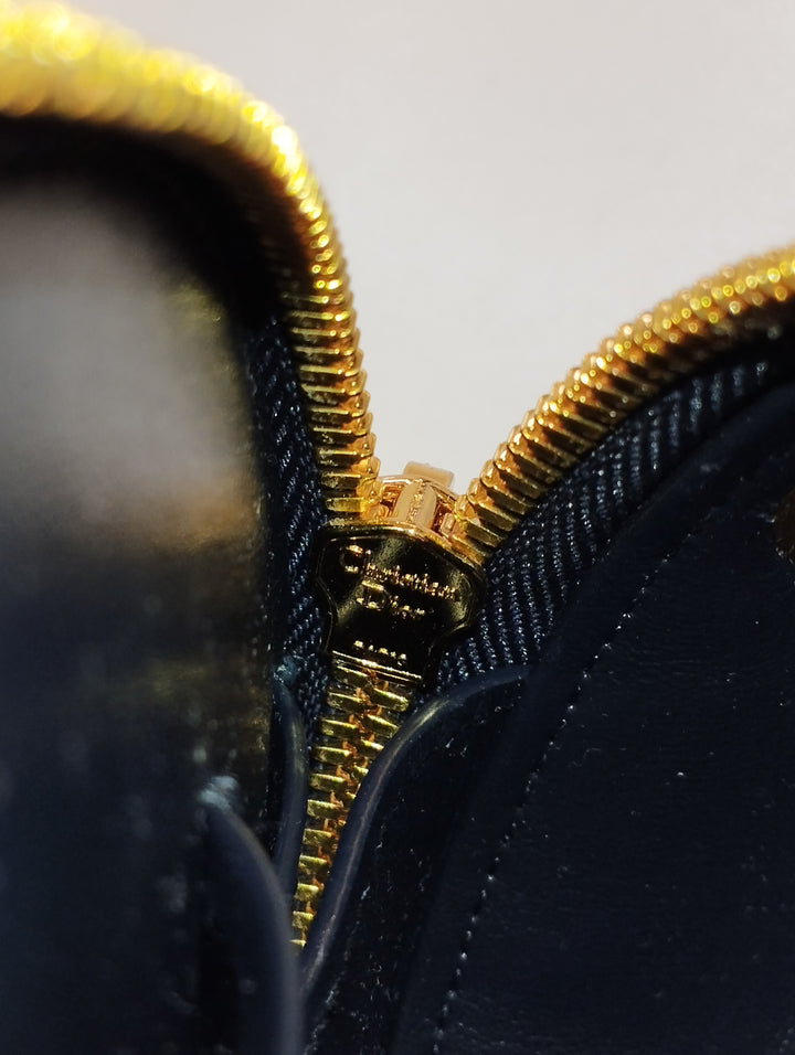 Dior Cuir et Oblique Toile CD Oval Sac caméra