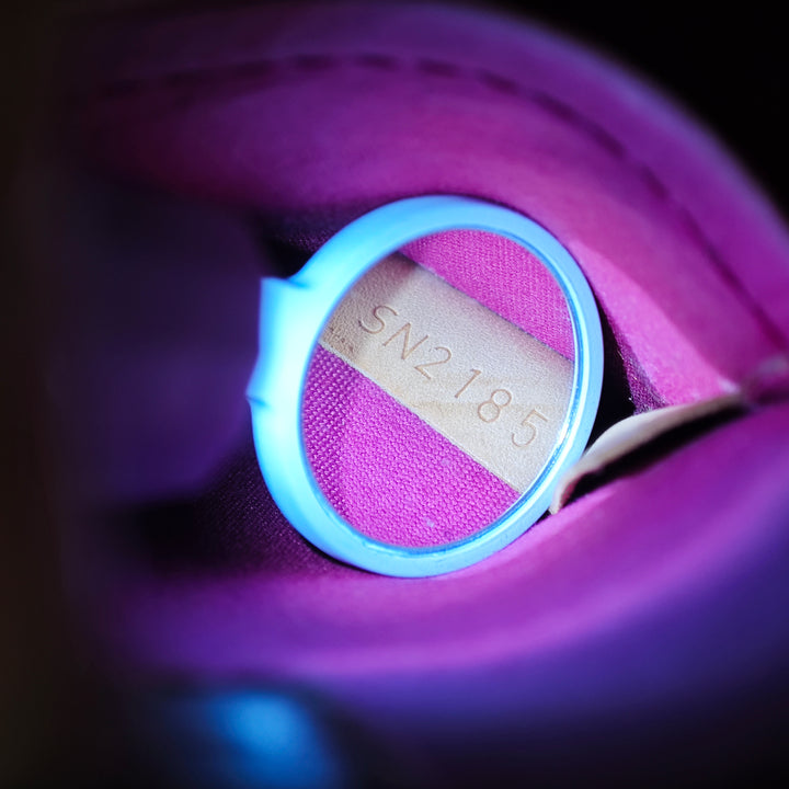 Louis Vuitton Monogram Vernis Alma BB
