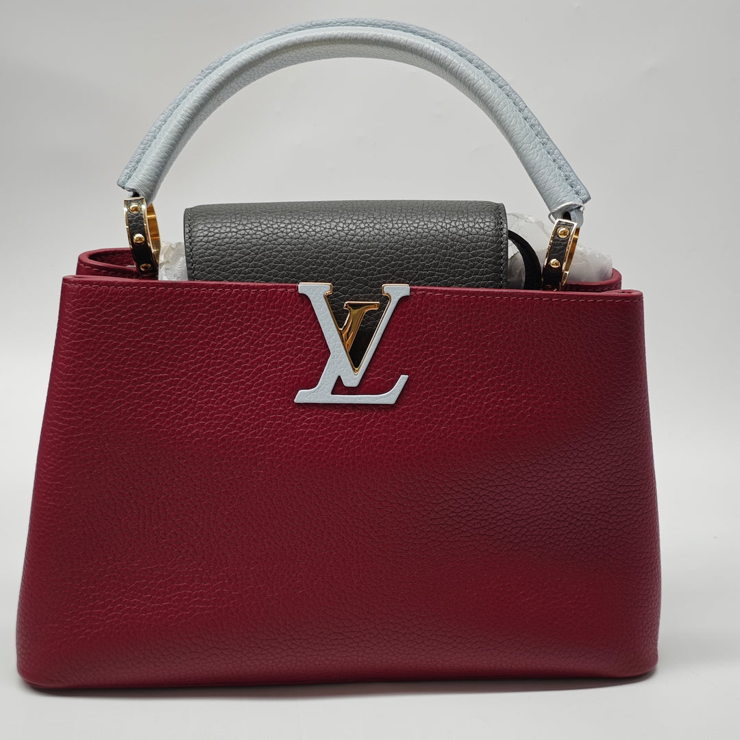 Louis Vuitton Tricolor Taurillon Capucines PM