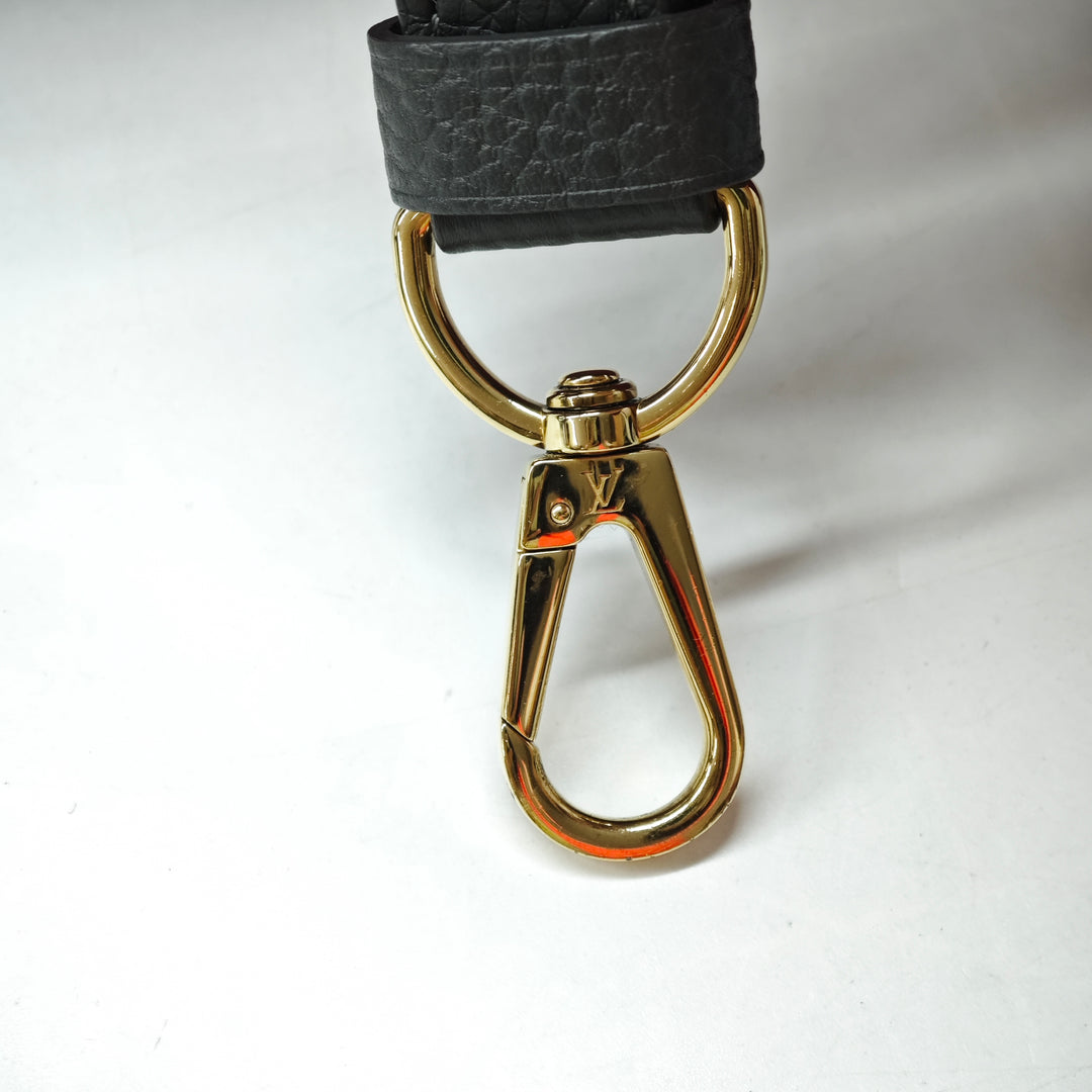 Louis Vuitton Tricolor Taurillon Capucines PM