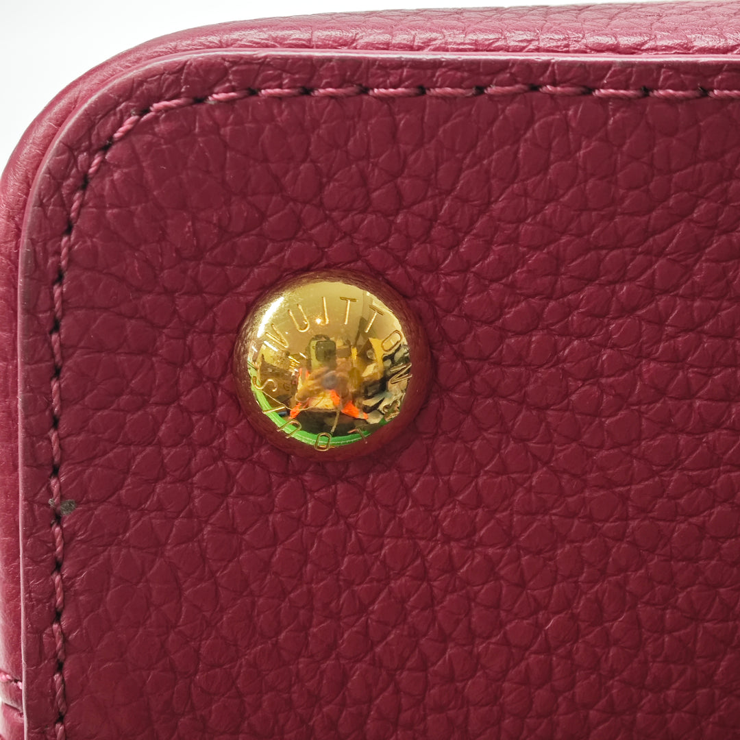 Louis Vuitton Tricolor Taurillon Capucines PM