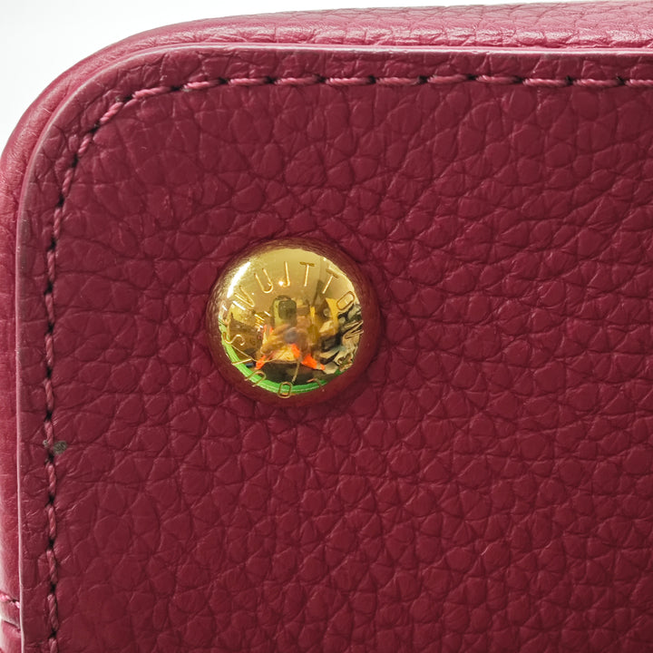Louis Vuitton Tricolor Taurillon Capucines PM