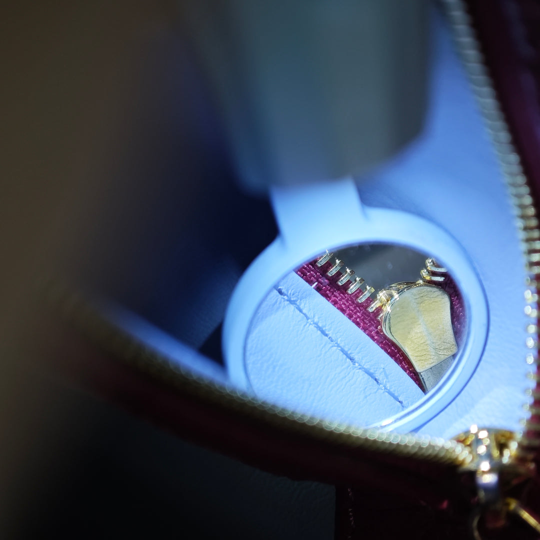 Louis Vuitton Tricolor Taurillon Capucines PM