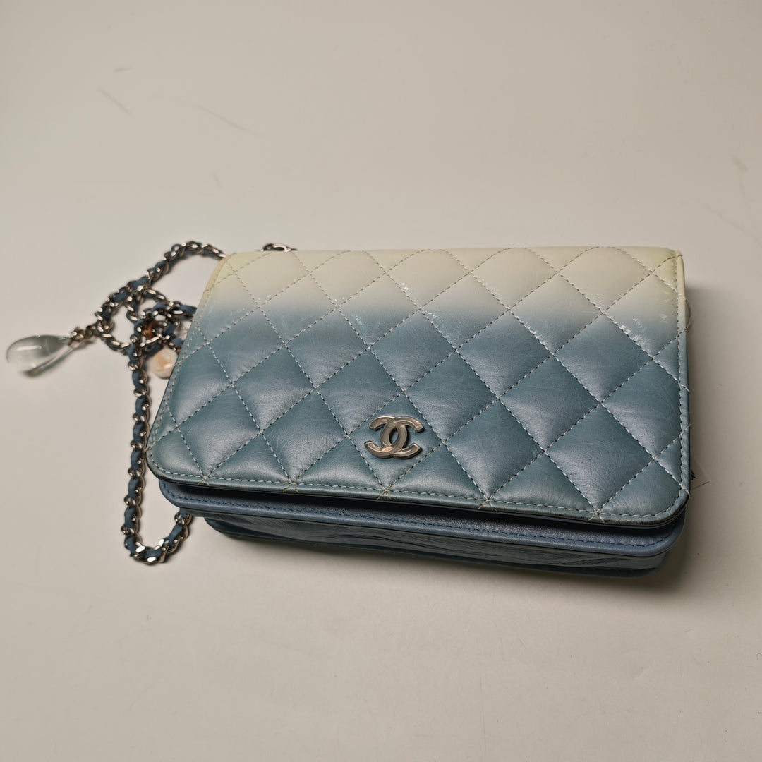 Chanel CC Matelassé Ombre Cuir verni et vieilli Cuir de veau Cristal Wallet on Chain