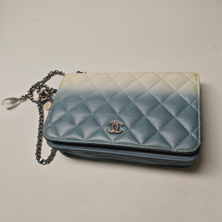 Chanel CC Matelassé Ombre Cuir verni et vieilli Cuir de veau Cristal Wallet on Chain