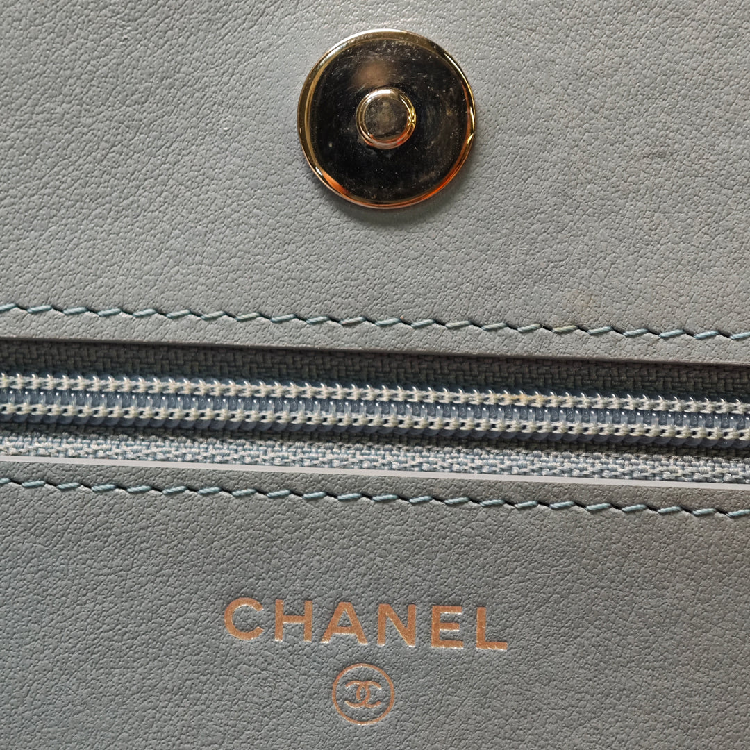 Chanel CC Matelassé Ombre Cuir verni et vieilli Cuir de veau Cristal Wallet on Chain