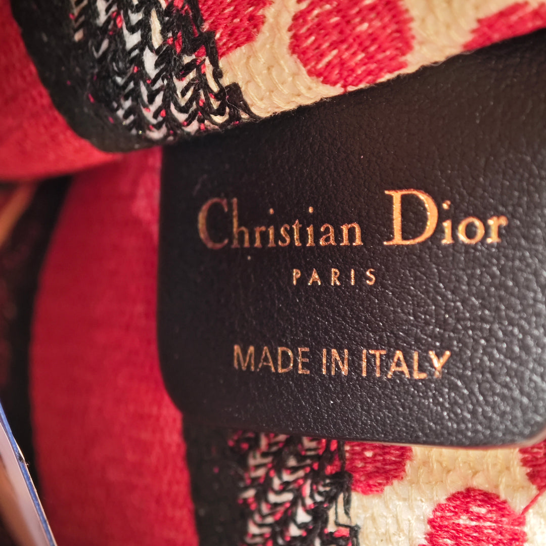 Dior DiorAmour Mini brodé Toile Dots Book Cabas