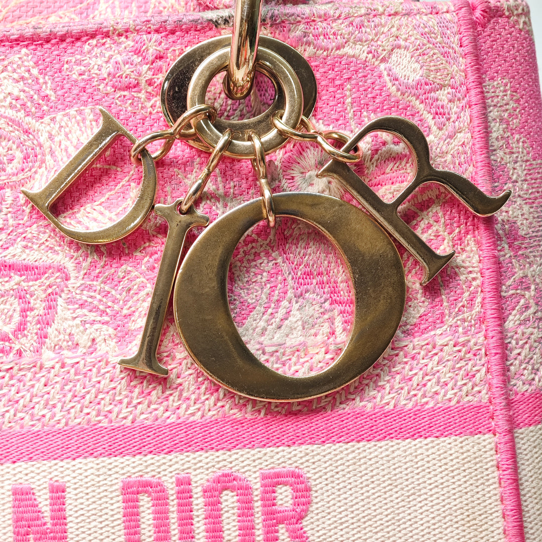 Dior Medium brodé Toile Toile De Jouy Lady D Lite