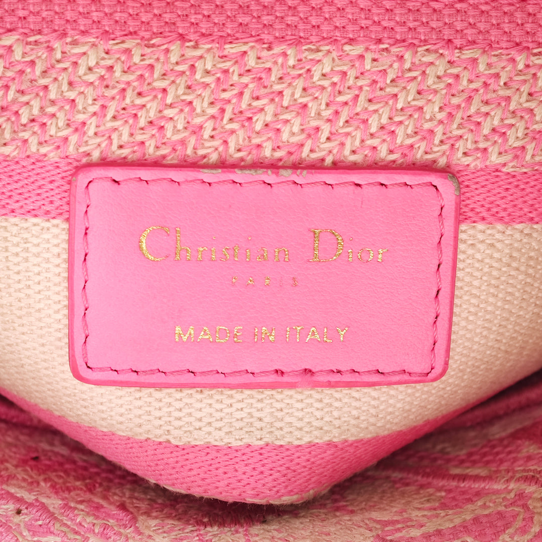 Dior Medium brodé Toile Toile De Jouy Lady D Lite