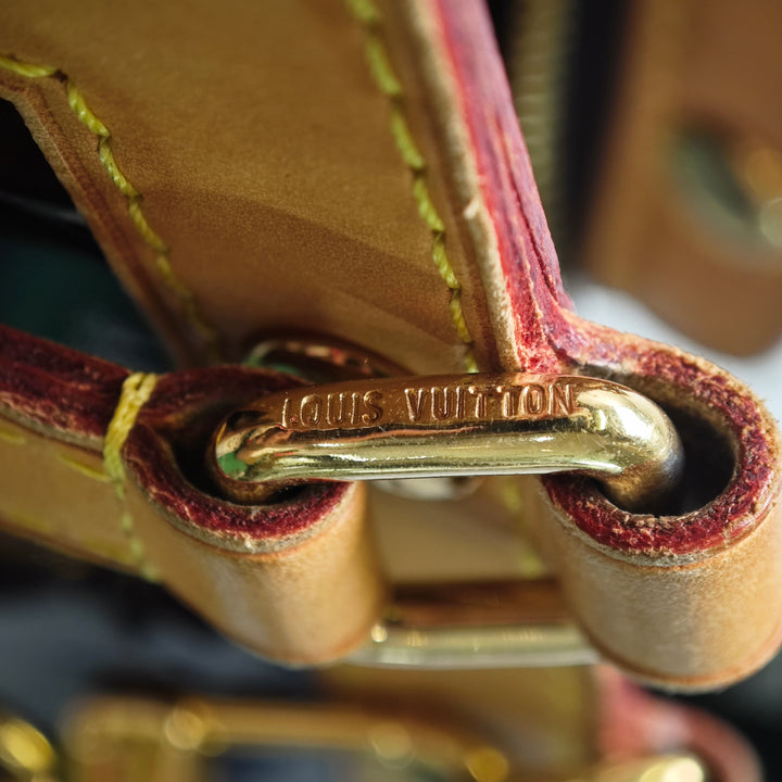 Louis Vuitton Monogram Vernis Brea MM