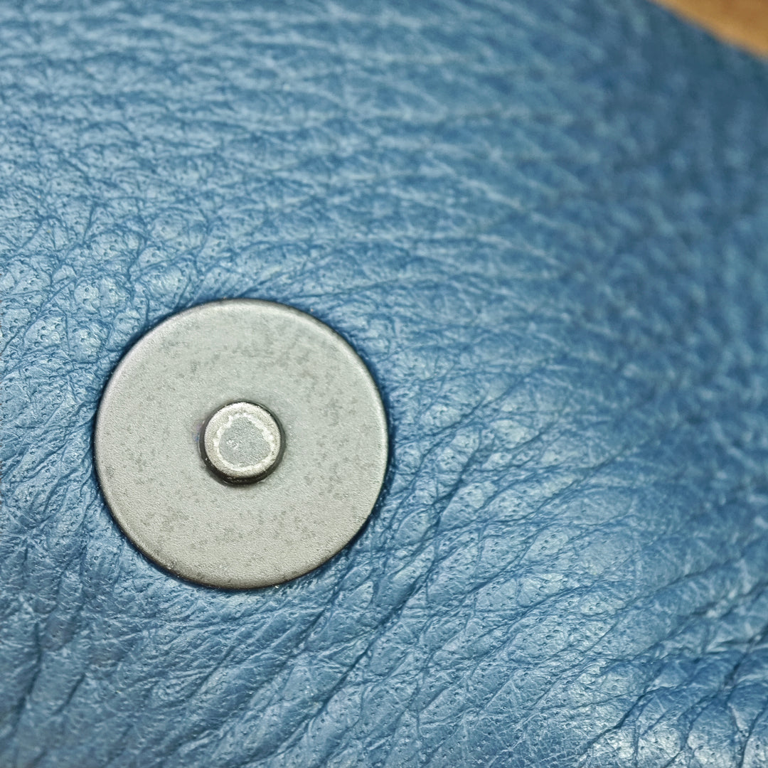 Bottega Veneta Small Cervo Roma Sac