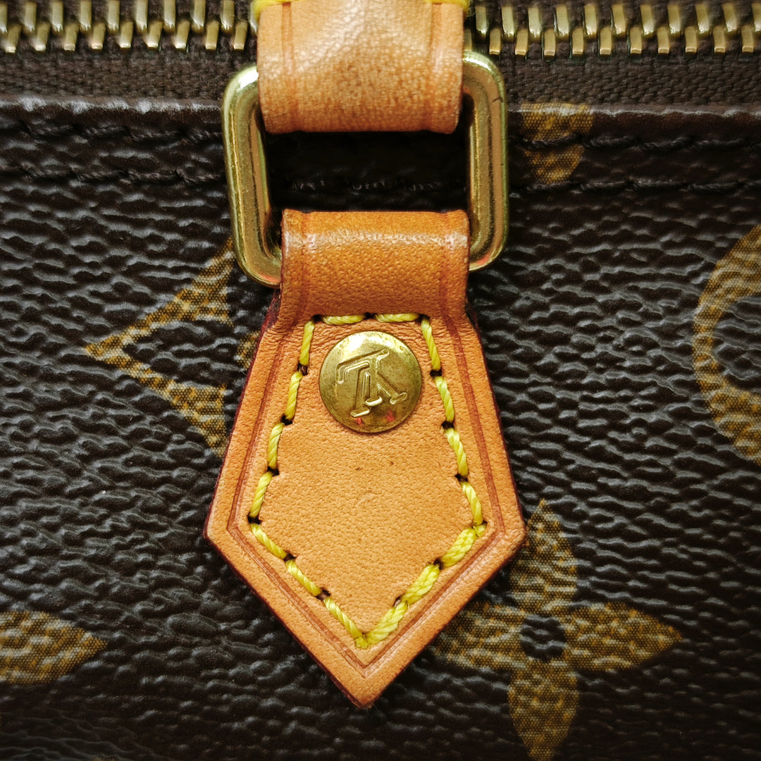 Louis Vuitton Monogram Nano Speedy Bandouliere