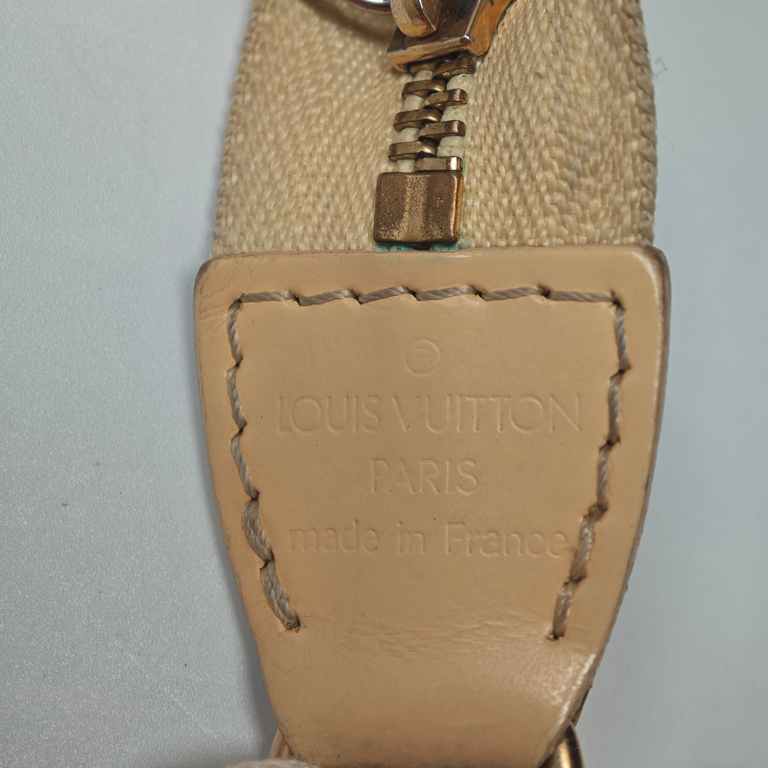 Louis Vuitton Epi Pochette Accessoires