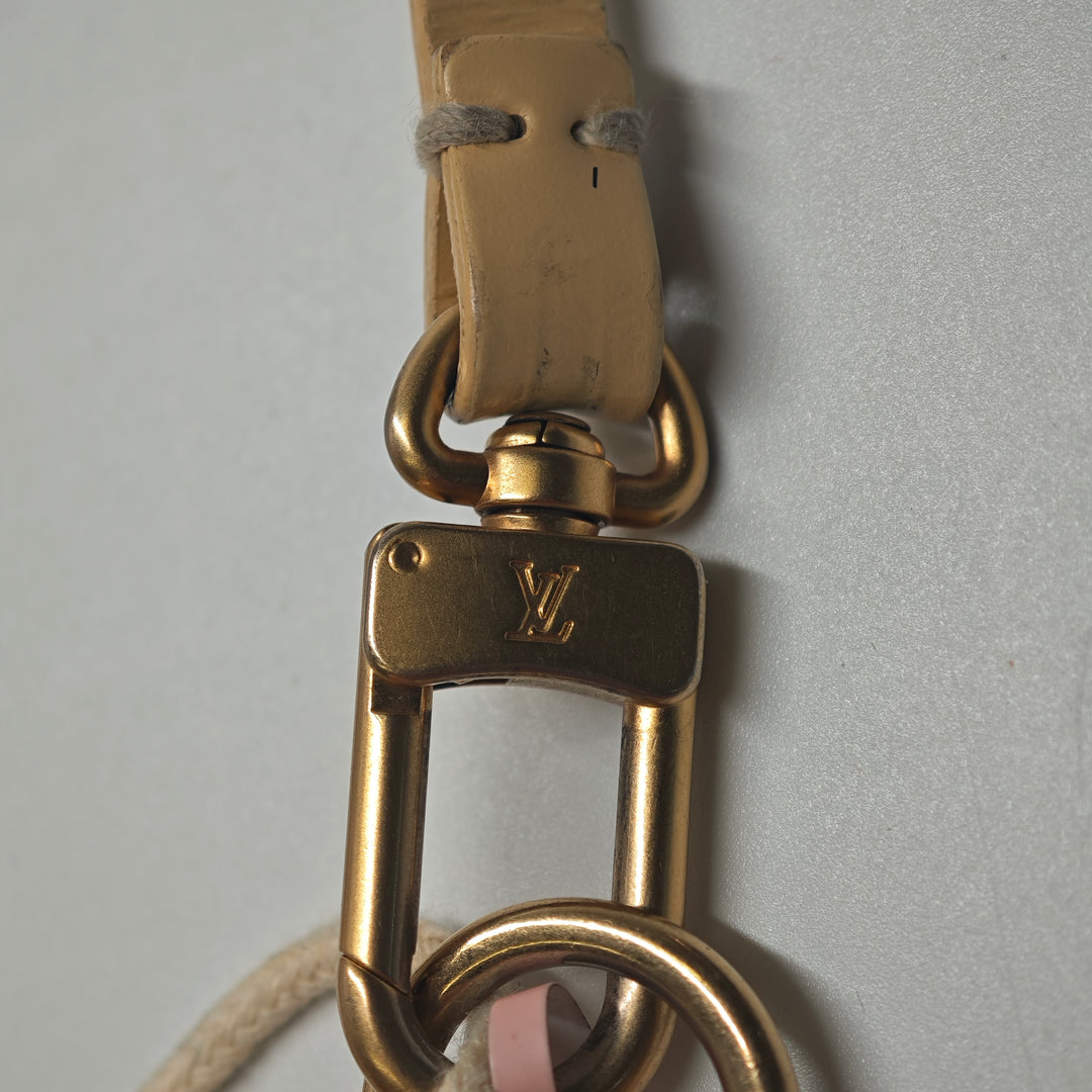Louis Vuitton Epi Pochette Accessoires