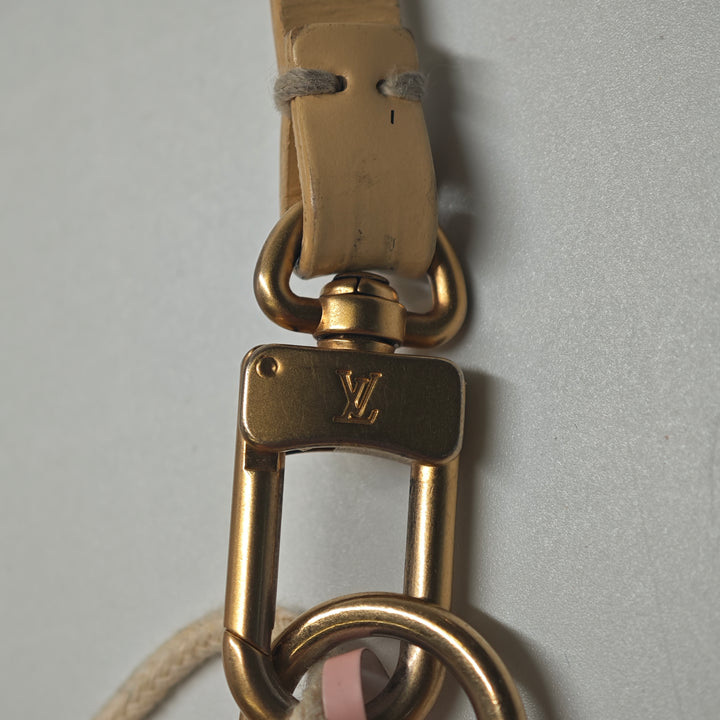 Louis Vuitton Epi Pochette Accessoires