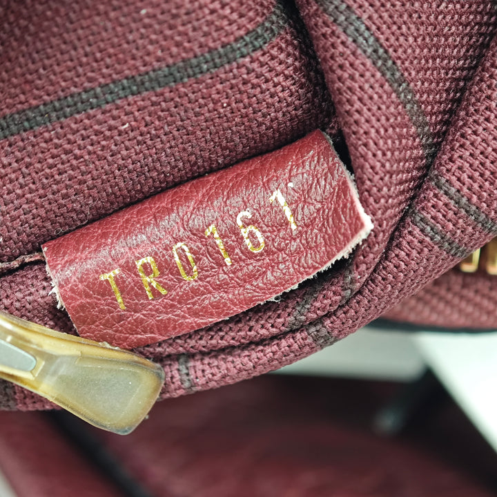 Louis Vuitton Monogram Empreinte Petillante