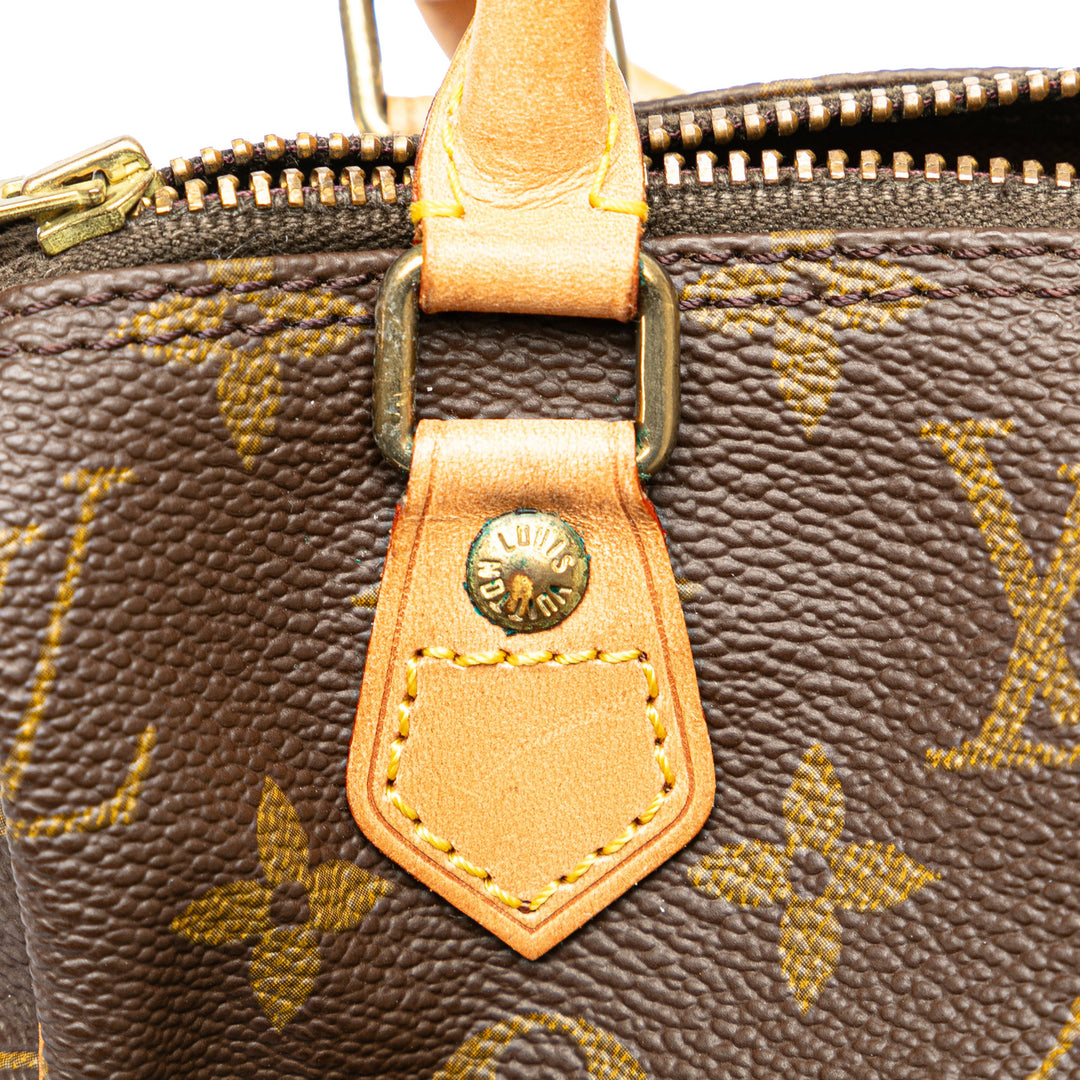 Monogram Nano Speedy Bandouliere Brown - Gaby Paris