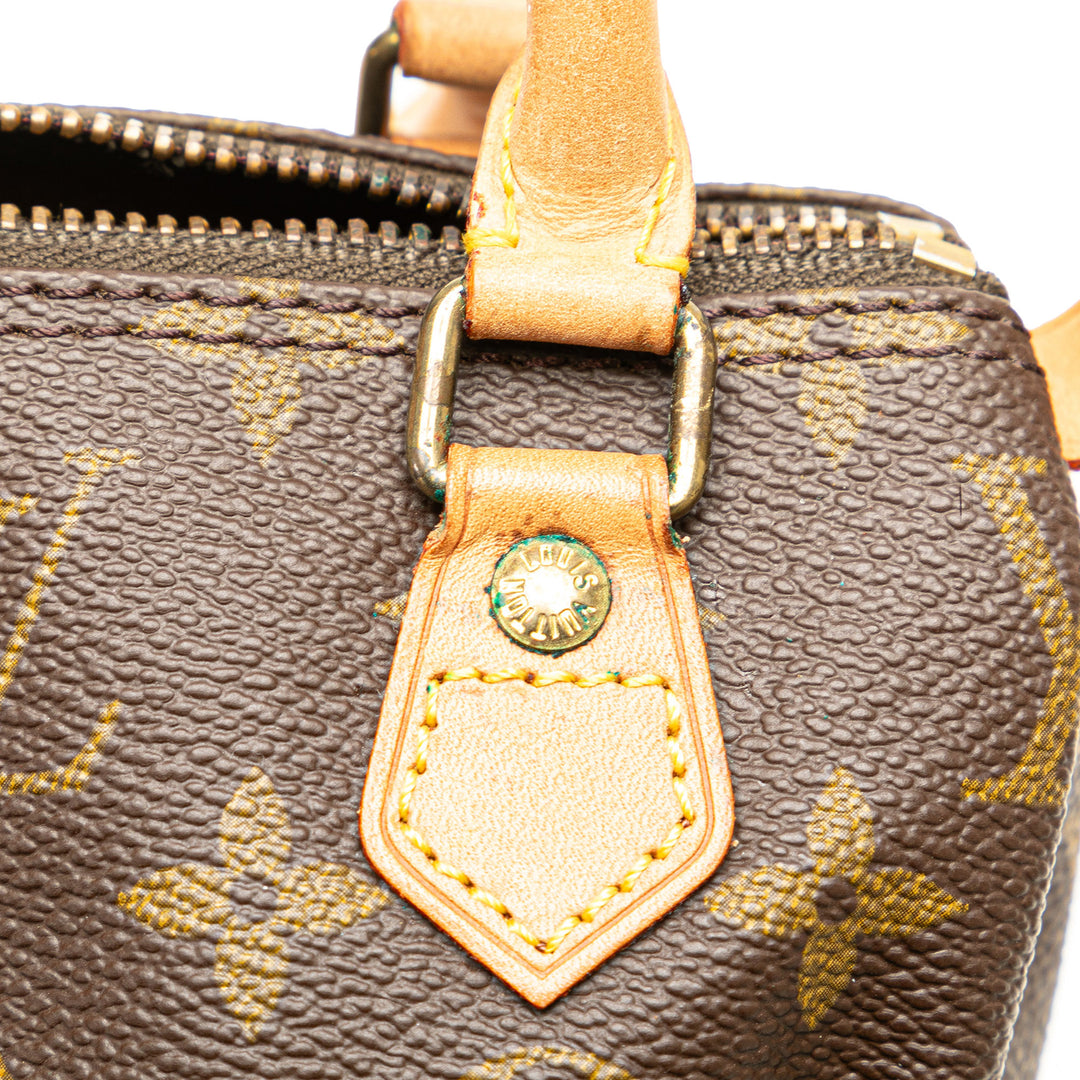 Monogram Nano Speedy Bandouliere Brown - Gaby Paris