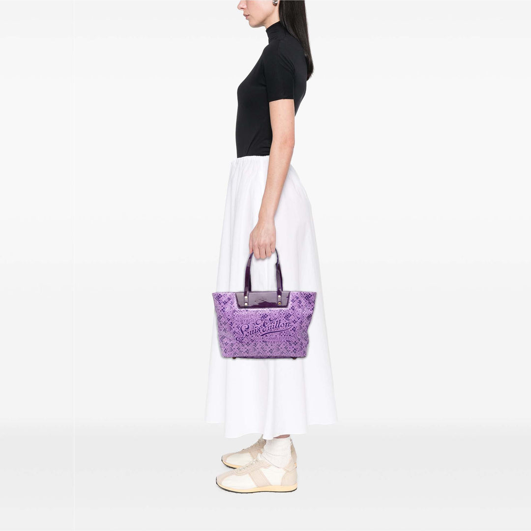 Louis Vuitton Takashi Murakami Coated Toile Cosmic Blossom Cabas PM
