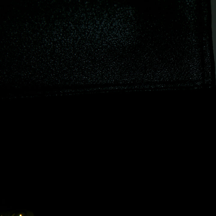 Fendi Velours Push Lock Boîte Sac