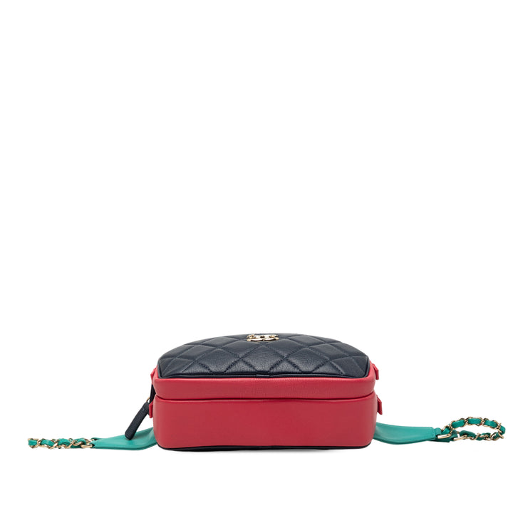 Chanel Tricolor Matelassé Cuir de chèvre In et Out Sac ceinture