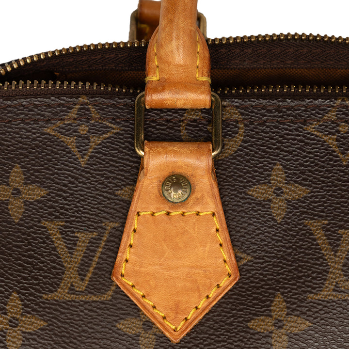 Louis Vuitton Speedy 25 Toile Monogram
