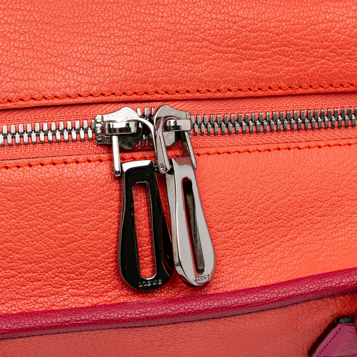 Tricolor Leather Amazona 36 Orange - Gaby Paris