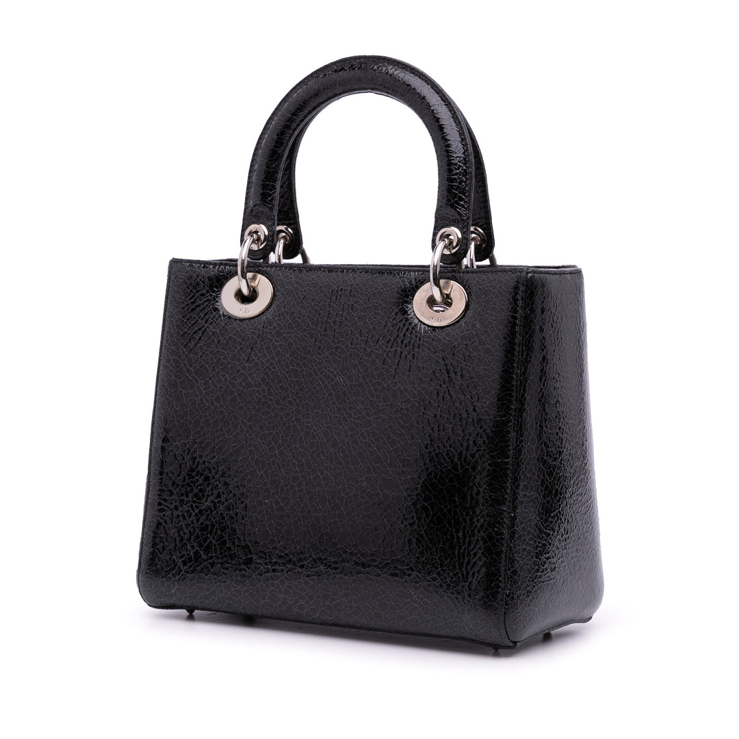 Dior Medium Ceramic Effect Deerskin Jeweled Swan Lady Dior Noir