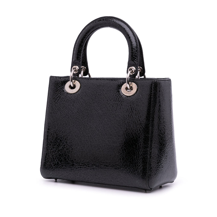 Dior Medium Ceramic Effect Deerskin Jeweled Swan Lady Dior Noir