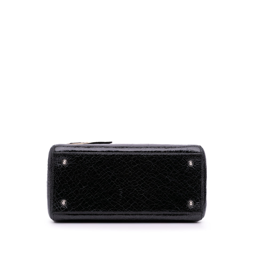 Dior Medium Ceramic Effect Deerskin Jeweled Swan Lady Dior Noir